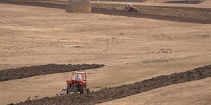 AGRICOLTURA, MERCURI: “SI LAVORI PER UN DECRETO MINISTERIALE CHE PUNTI A REALE AGGREGAZIONE ECONOMICA CON OP STRUTTURATE”